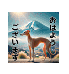 【再販】毎年使えるイタグレ♡年末年始（個別スタンプ：24）