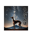 【再販】毎年使えるイタグレ♡年末年始（個別スタンプ：25）