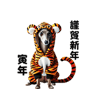 【再販】毎年使えるイタグレ♡年末年始（個別スタンプ：31）