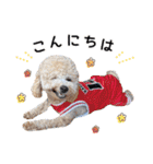 [ゆかいな仲間たち]（個別スタンプ：1）