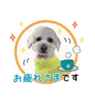 [ゆかいな仲間たち]（個別スタンプ：4）