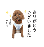 [ゆかいな仲間たち]（個別スタンプ：6）