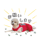 [ゆかいな仲間たち]（個別スタンプ：8）