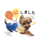 [ゆかいな仲間たち]（個別スタンプ：11）