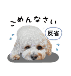 [ゆかいな仲間たち]（個別スタンプ：12）