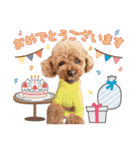 [ゆかいな仲間たち]（個別スタンプ：14）