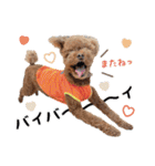 [ゆかいな仲間たち]（個別スタンプ：15）