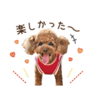 [ゆかいな仲間たち]（個別スタンプ：16）