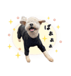 [ゆかいな仲間たち]（個別スタンプ：17）