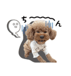 [ゆかいな仲間たち]（個別スタンプ：19）