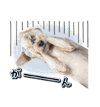 [ゆかいな仲間たち]（個別スタンプ：20）