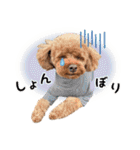 [ゆかいな仲間たち]（個別スタンプ：21）