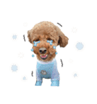 [ゆかいな仲間たち]（個別スタンプ：22）