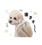 [ゆかいな仲間たち]（個別スタンプ：25）