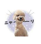 [ゆかいな仲間たち]（個別スタンプ：26）