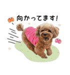 [ゆかいな仲間たち]（個別スタンプ：27）