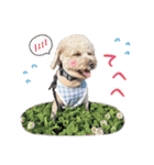 [ゆかいな仲間たち]（個別スタンプ：28）