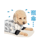 [ゆかいな仲間たち]（個別スタンプ：29）