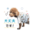 [ゆかいな仲間たち]（個別スタンプ：30）