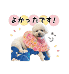 [ゆかいな仲間たち]（個別スタンプ：33）