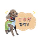 [ゆかいな仲間たち]（個別スタンプ：34）