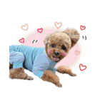 [ゆかいな仲間たち]（個別スタンプ：35）