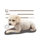 [ゆかいな仲間たち]（個別スタンプ：37）