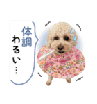 [ゆかいな仲間たち]（個別スタンプ：38）