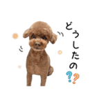 [ゆかいな仲間たち]（個別スタンプ：39）