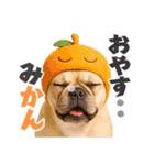 フレンチなブルさん【ダジャレ】（個別スタンプ：1）