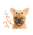 フレンチなブルさん【ダジャレ】（個別スタンプ：4）