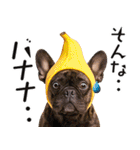 フレンチなブルさん【ダジャレ】（個別スタンプ：5）