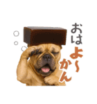 フレンチなブルさん【ダジャレ】（個別スタンプ：6）