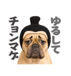 フレンチなブルさん【ダジャレ】（個別スタンプ：7）