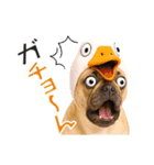 フレンチなブルさん【ダジャレ】（個別スタンプ：8）