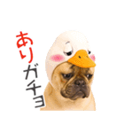 フレンチなブルさん【ダジャレ】（個別スタンプ：10）