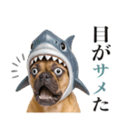 フレンチなブルさん【ダジャレ】（個別スタンプ：14）