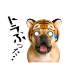 フレンチなブルさん【ダジャレ】（個別スタンプ：17）