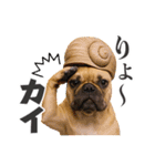 フレンチなブルさん【ダジャレ】（個別スタンプ：19）