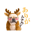 フレンチなブルさん【ダジャレ】（個別スタンプ：21）