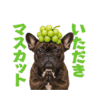 フレンチなブルさん【ダジャレ】（個別スタンプ：22）