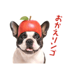 フレンチなブルさん【ダジャレ】（個別スタンプ：23）