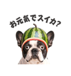 フレンチなブルさん【ダジャレ】（個別スタンプ：25）