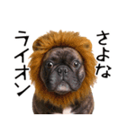 フレンチなブルさん【ダジャレ】（個別スタンプ：27）