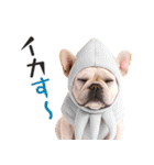 フレンチなブルさん【ダジャレ】（個別スタンプ：28）