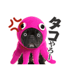 フレンチなブルさん【ダジャレ】（個別スタンプ：29）