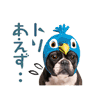 フレンチなブルさん【ダジャレ】（個別スタンプ：30）