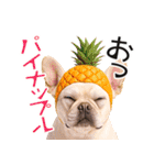 フレンチなブルさん【ダジャレ】（個別スタンプ：33）