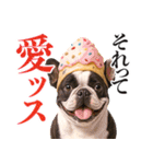 フレンチなブルさん【ダジャレ】（個別スタンプ：36）