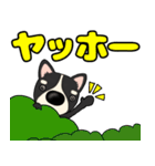 【デカ文字】鼻デカチワワ2（個別スタンプ：3）